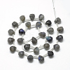 Natural Labradorite Beads Strands G-R435-15G-2