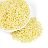 6/0 Glass Seed Beads SEED-N008-07F-1