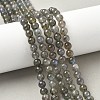 Natural Labradorite Beads Strands LS-G-U017-6mm-01-1