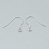 925 Sterling Silver Earring Hooks STER-T002-170S-2