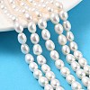 Natural Cultured Freshwater Pearl Beads Strands PEAR-I007-01C-01A-1