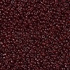 MIYUKI Round Rocailles Beads SEED-JP0008-RR2410-3
