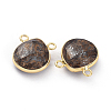 Natural Mixed Stone Charms G-L547-030-1-3