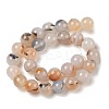Natural Dendritic Agate Beads Strands G-A248-A07-05-3