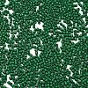 Baking Paint Glass Seed Beads X-SEED-S042-05B-66-3