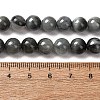 Natural Hawk's Eye Beads Strands G-L478-03-8mm-01-3