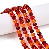 Transparent Glass Beads Strands GLAA-T023-08D-1