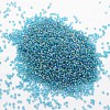 8/0 Round Glass Seed Beads X-SEED-J011-F8-179-2