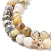 Natural African Opal Beads Strands G-B048-B03-01-3