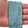 Dyed Synthetic Turquoise Beads Strands G-Z089-A04-F-1
