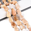 Natural Topaz Jade Beads Strands G-N354-02B-01-1