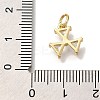 Rack Plating Brass Micro Pave Cubic Zirconia Charms KK-I720-39G-3