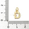 Brass Micro Pave Cubic Zirconia Charms LS-KK-I382-03G-G-3