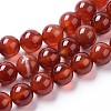 Natural Agate Beads Strands G-I261-B01-10mm-1