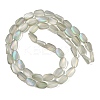 Electroplate Glass Beads Strands EGLA-C009-01B-HR01-2