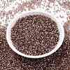 Cylinder Seed Beads X-SEED-H001-G19-3
