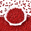 Opaque Colours Glass Seed Beads SEED-Q042-01A-D05-2