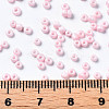 Glass Seed Beads SEED-S060-A-F405-5