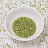 MIYUKI Delica Beads SEED-MY11-DB0983-2