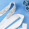 Crystal Rhinestone Wedding Dress Belt DIY-FG0002-48-6