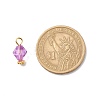 Transparent Acrylic Pendants PALLOY-JF01834-04-3
