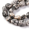 Natural Map Stone Beads Strands G-G146-A11-01-4