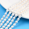 Natural Cultured Freshwater Pearl Beads Strands PEAR-N012-05I-1