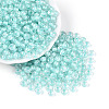 FGB Inside Colours Transparent Glass Seed Beads SEED-T009-01C-3