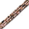 Natural Argentina Rhodonite Beads Strands LS-G-M399-01A-1
