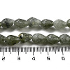 Natural Labradorite Beads Strands G-P520-B05-01-5