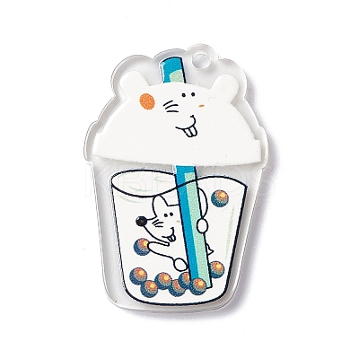 Transparent Printed Acrylic Pendants TACR-G042-01B-1