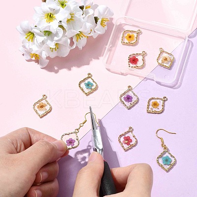 10Pcs 5 Colors Zinc Alloy Epoxy Resin Pendants FIND-CJ0004-93-1