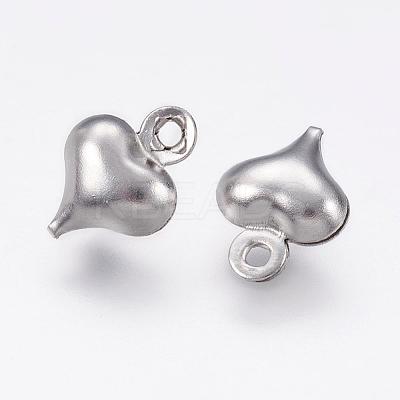 Tarnish Resistant 304 Stainless Steel Charms STAS-P167-G01-1