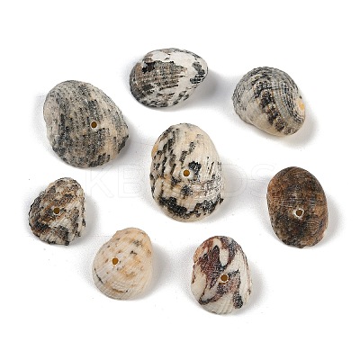 Natural Shell Pendants LS-SHEL-K009-17A-1