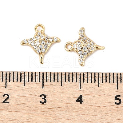 Brass Micro Pave Clear Cubic Zirconia Charms X-KK-R219-14G-1