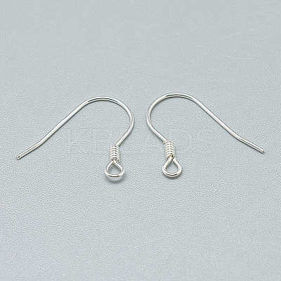 925 Sterling Silver Earring Hooks STER-T002-170S-1