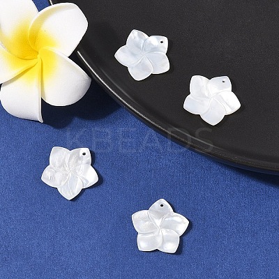 4Pcs Natural White Shell Mother of Pearl Shell Pendants SSHEL-YW0001-10-1