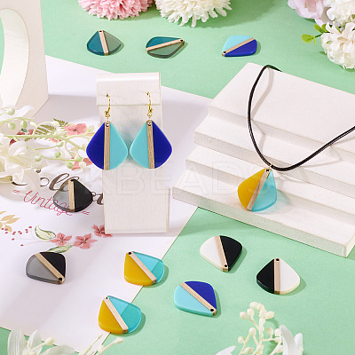 10Pcs 5 Colors Transparent & Opaque Resin & Wood Pendants RESI-TA0004-64-1