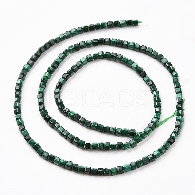 Natural Malachite Beads Strands G-C009-B24-1