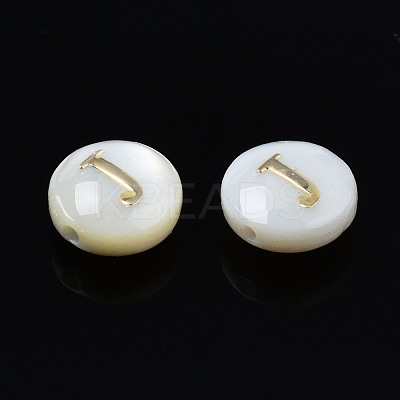 Natural Freshwater Shell Beads SHEL-S278-036J-1