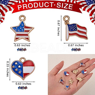 60Pcs Alloy Enamel Pendants JX113A-1