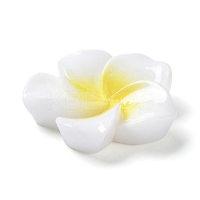 Opaque Resin Cabochons X-RESI-G068-02F-1