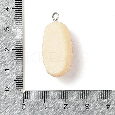Resin Imitation Food Pendants FIND-U001-02J-1
