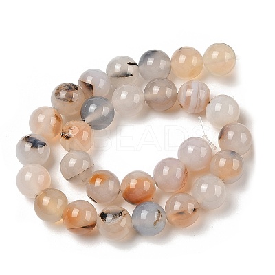 Natural Dendritic Agate Beads Strands G-A248-A07-05-1