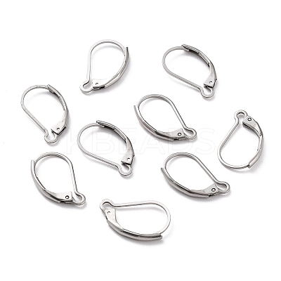Non-Tarnish 304 Stainless Steel Leverback Earring Findings LS-X-STAS-K233-04P-1