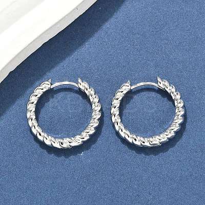 Brass Hoop Earrings EJEW-D320-22P-1