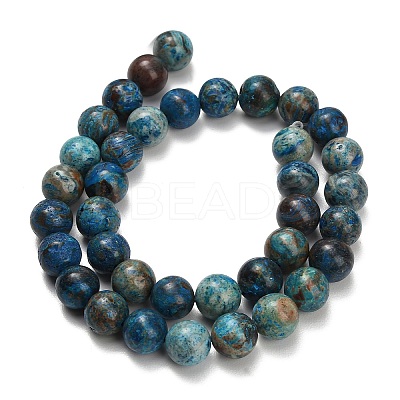 Natural Chrysocolla Beads Strands G-C289-B02-10mm-1