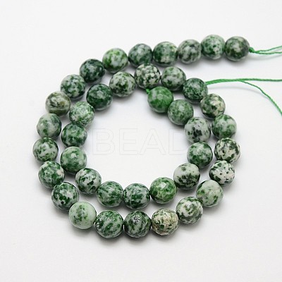 Natural Green Spot Jasper Beads Strands X-G-L148-14mm-01-1