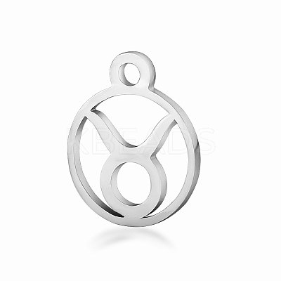 Non-Tarnish 201 Stainless Steel Charms STAS-T014-T505-2-1