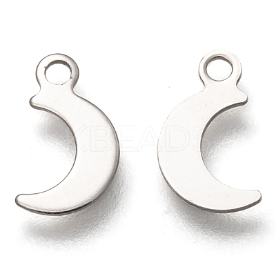 Non-Tarnish 201 Stainless Steel Charms STAS-B001-11P-1